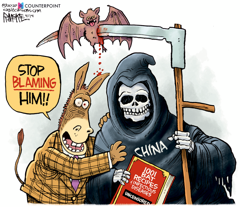 Coronavirus China Blame