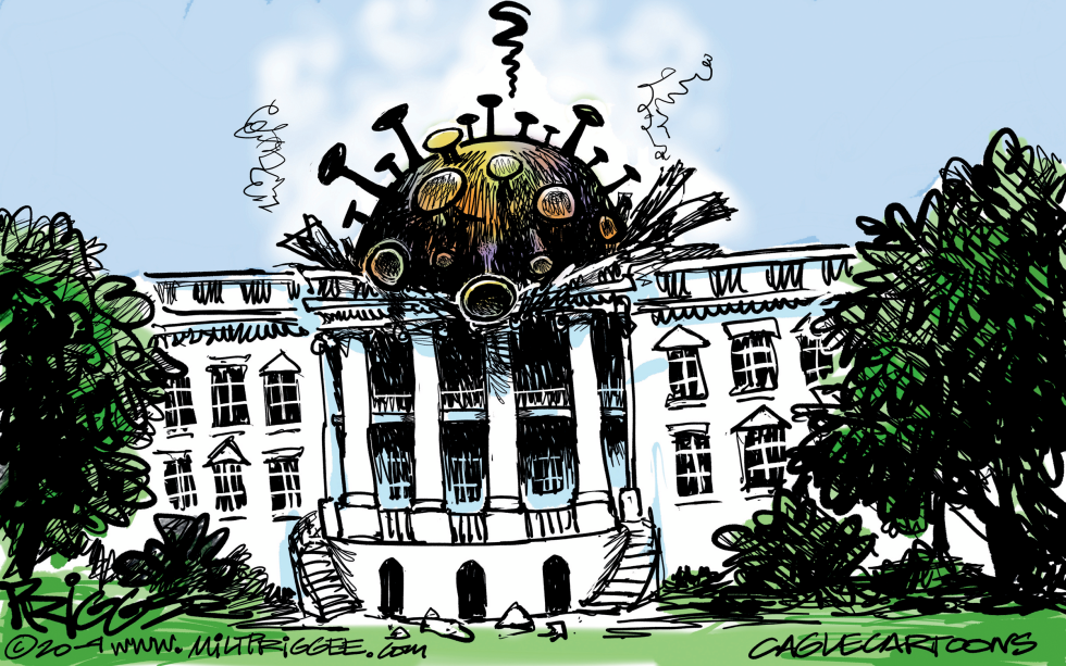 Home to Roost