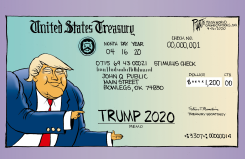 TRUMP AND YOUR STIMULUS by Bruce Plante