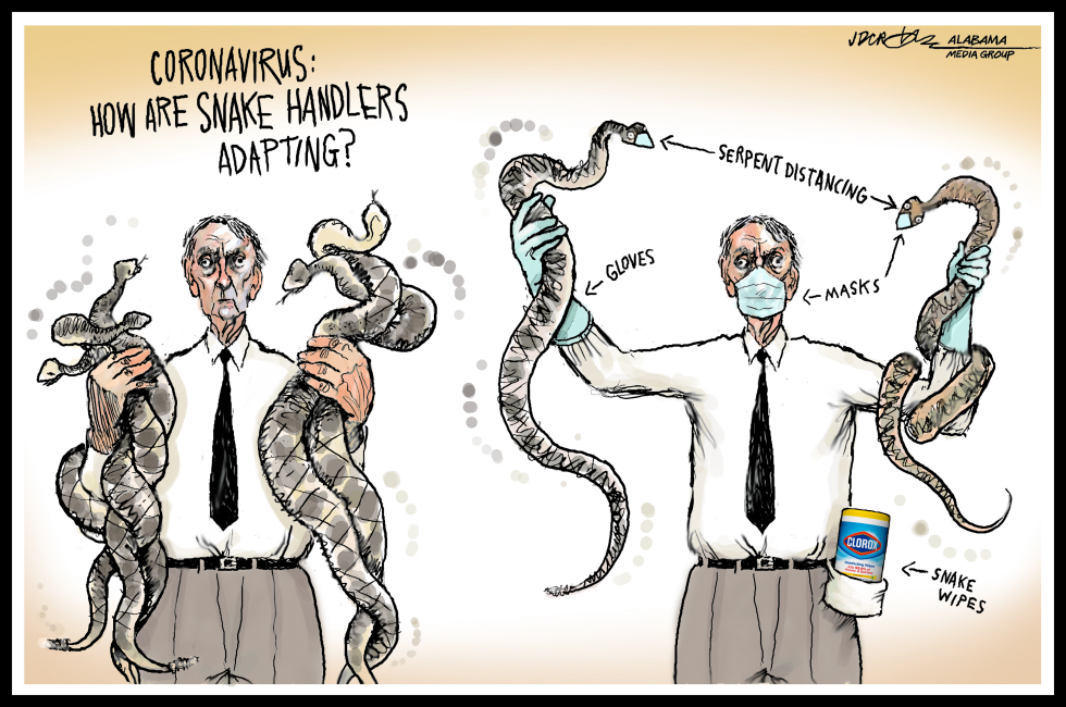 Coronavirus Snake Handling