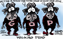 WALKING DEAD by Milt Priggee