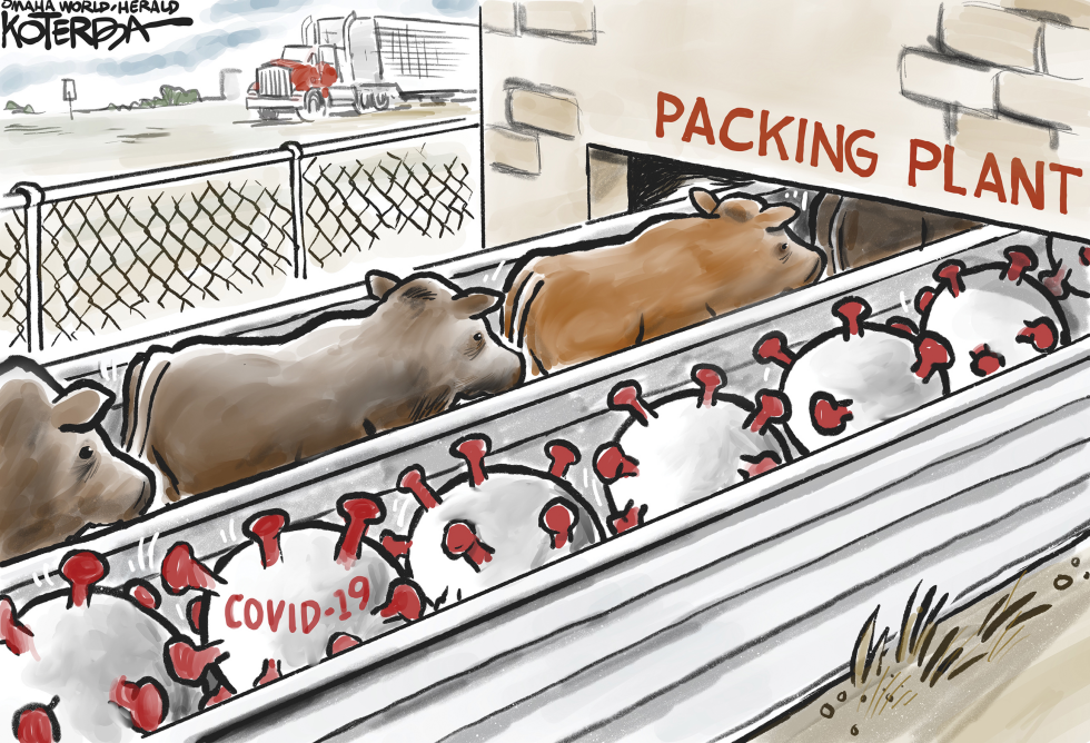 Heading into the Packing House