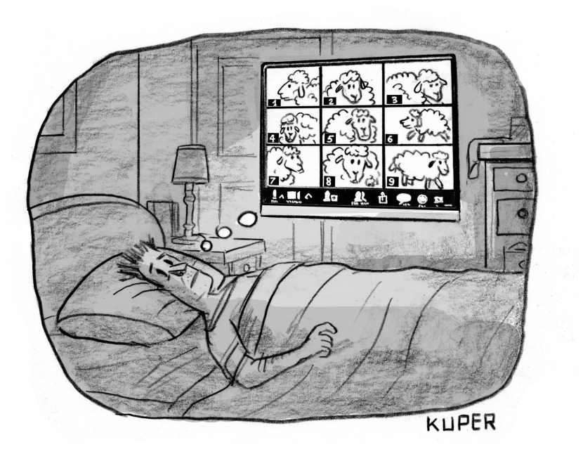 Counting Sheep