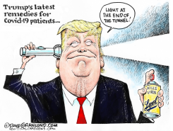 TRUMP LIGHT AND LYSOL REMEDIES by Dave Granlund
