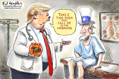 TAKE TWO TIDE PODS by Ed Wexler