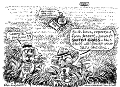 SWITCH GRASS by Sandy Huffaker