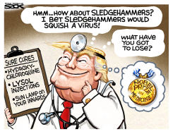 QUACK PREZ by Steve Sack