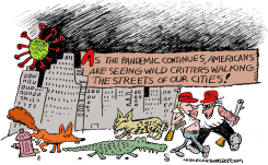 ANIMALS IN THE STREETS by Randall Enos