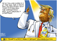 DR. TRUMP'S LATEST BRIGHT IDEA by Dave Whamond