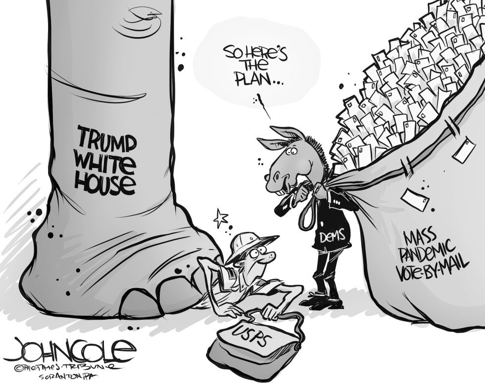 Vote By Mail