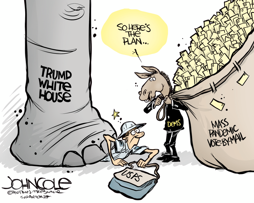 Vote By Mail
