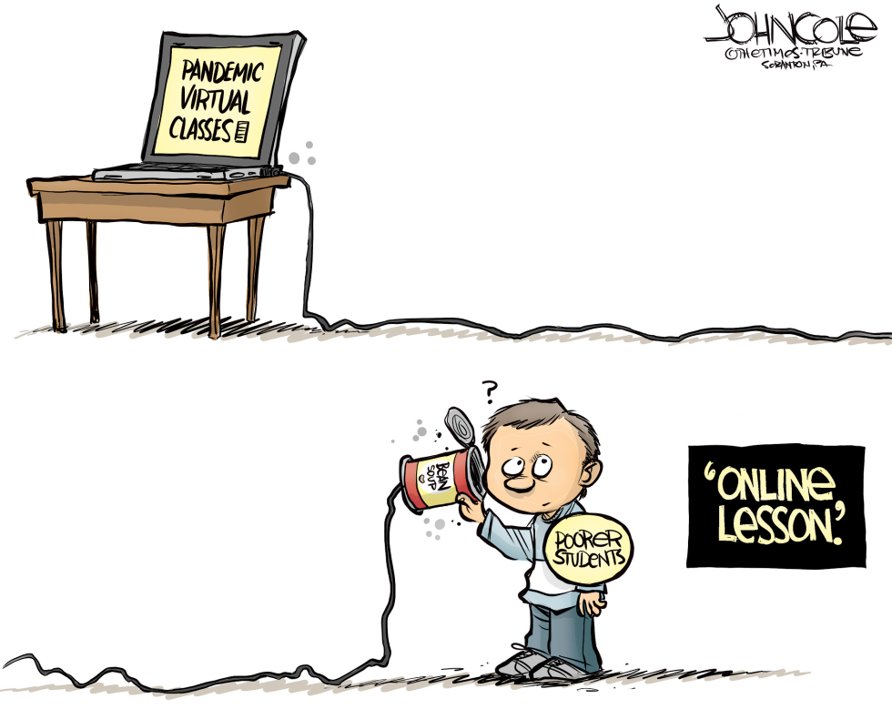 Online lessons and the digital divide