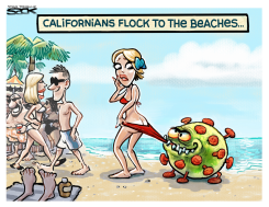 BEACH MENACE by Steve Sack