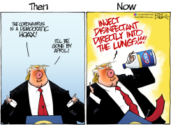 COVID EVOLUTION by Nate Beeler