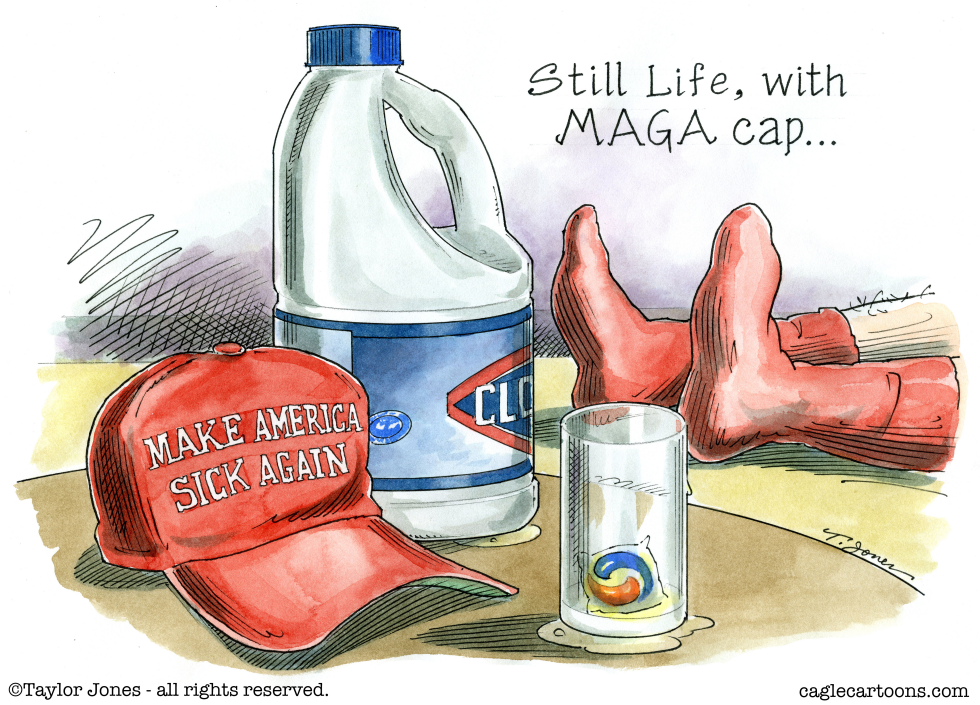 Still Life