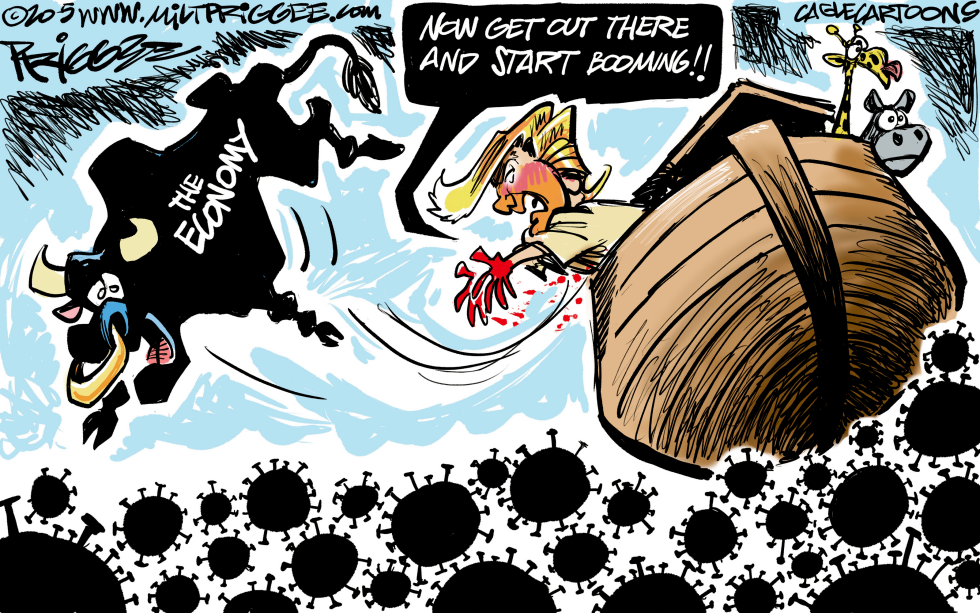 Noah Trump