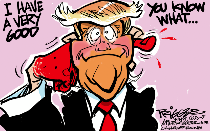 Trump's you know what