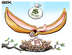 RICH BIZ/POOR BIZ by Steve Sack