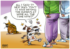 SELF-ISOLATING WITH PANDEMIC PETS  by Dave Whamond