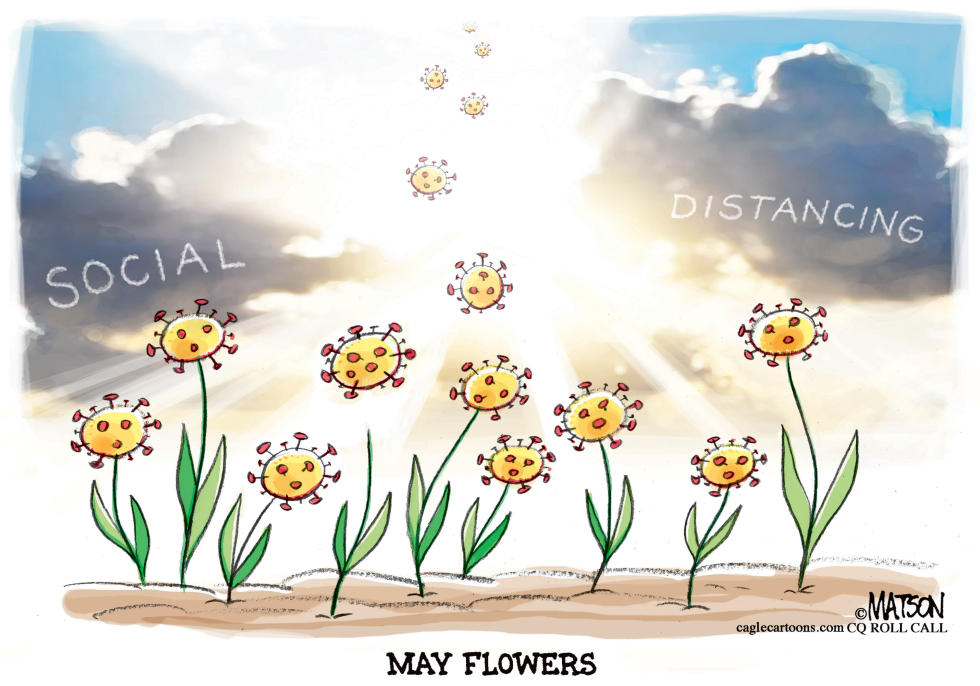 May Flowers