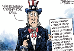 STATE OPENINGS by Joe Heller