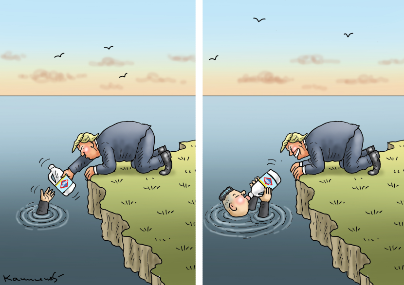 Trumps Solution