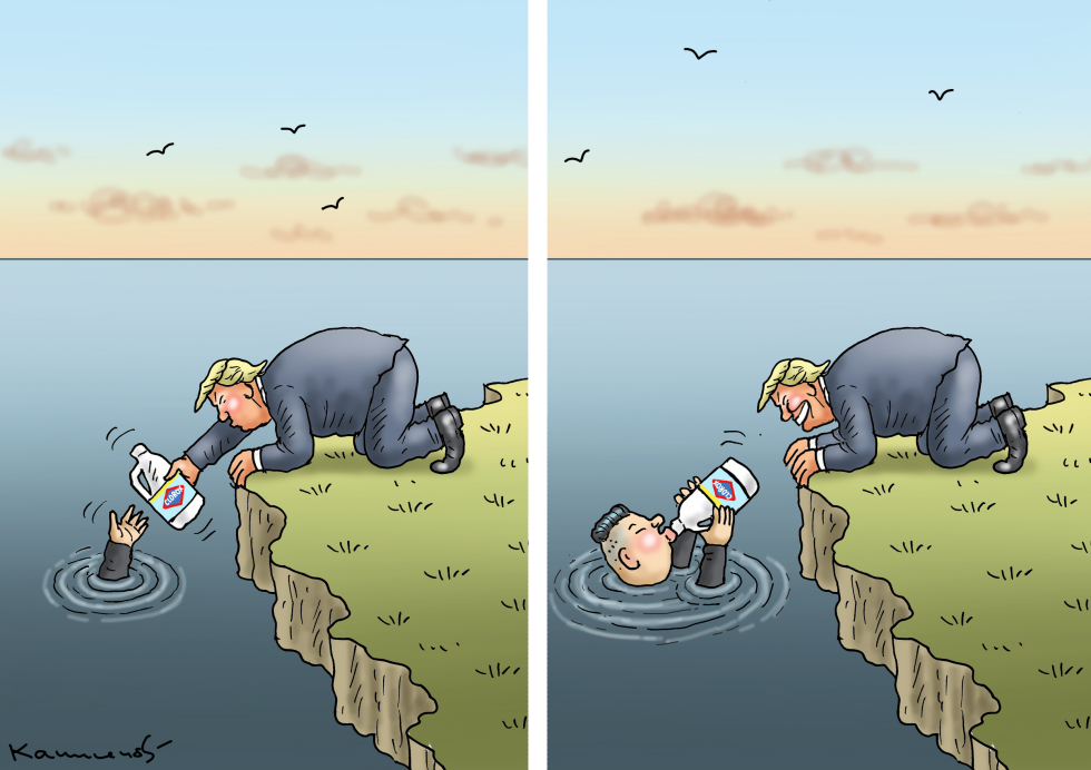 Trumps Solution