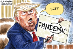 PANDEMIC SEE by Ed Wexler