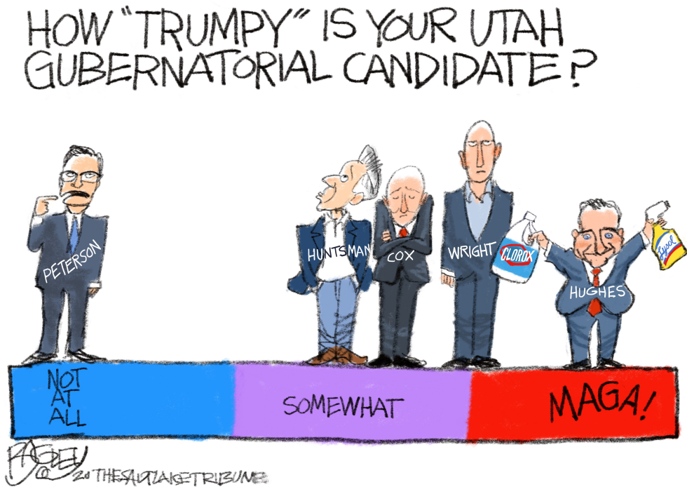 Local: Guv Election