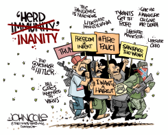 HERD INANITY by John Cole