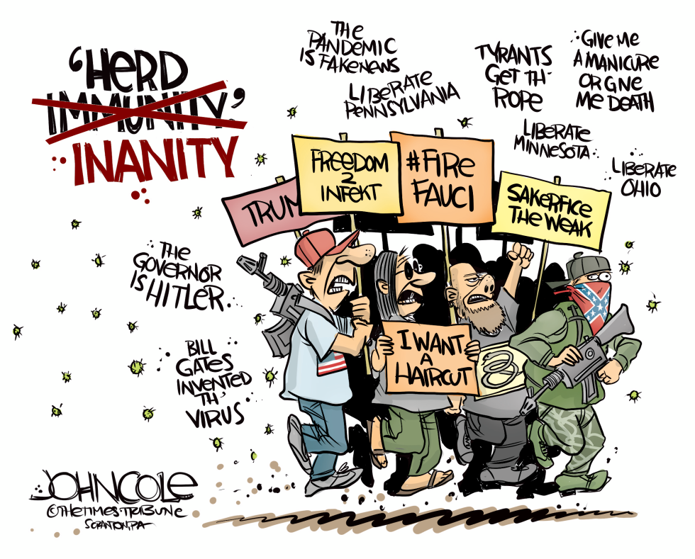 Herd inanity