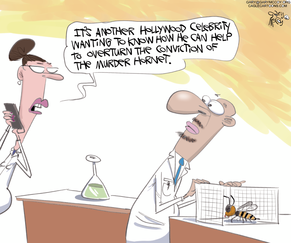 Murder Hornet Defense