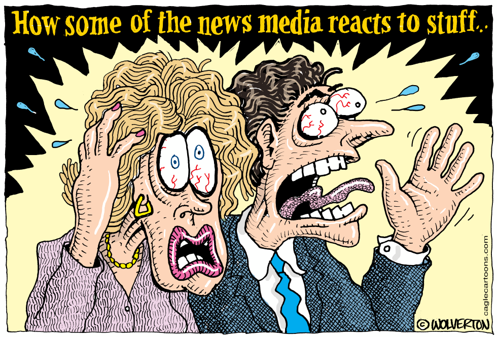 News Media Hyperreaction