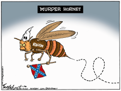 MURDER HORNET by Bob Englehart