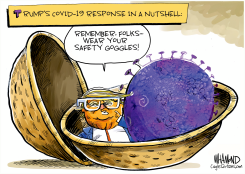 TRUMP CORONAVIRUS RESPONSE by Dave Whamond