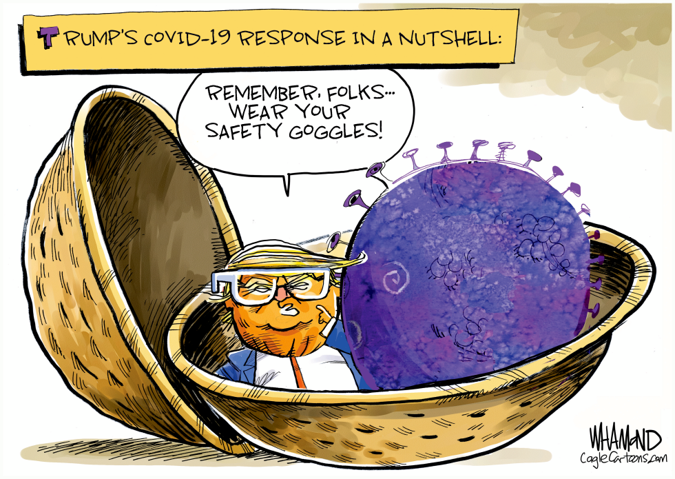 Trump Coronavirus Response