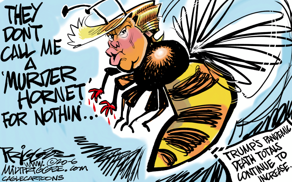 Trump Hornets