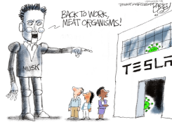 MUSK IS WEIRD by Pat Bagley