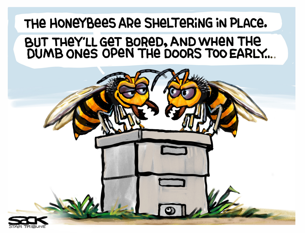 Murder covid hornets