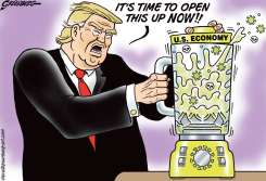 OPENING IT UP by Steve Greenberg