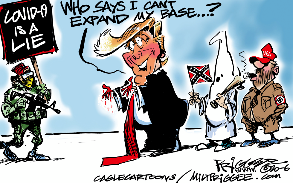 Domestic Terrorists