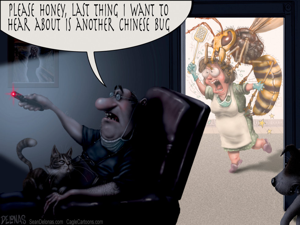 Chinese Murder Hornets