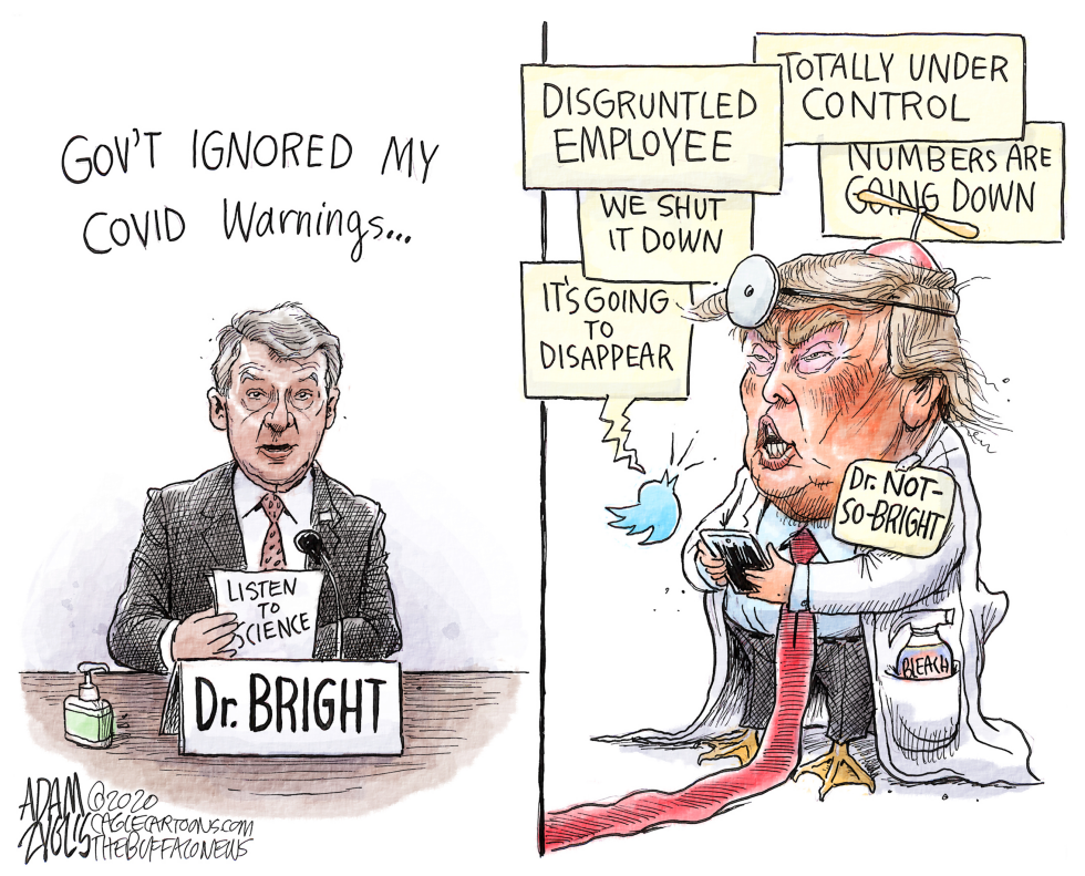 Dr. Bright