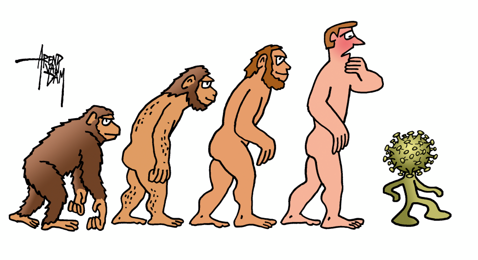 corona evolution