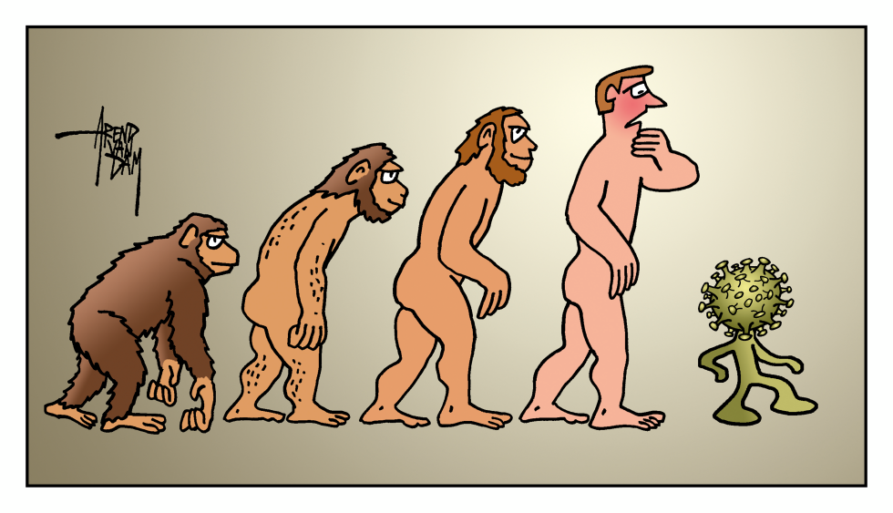 corona evolution