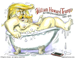 SUBSTANTIAL PRESIDENT by Taylor Jones
