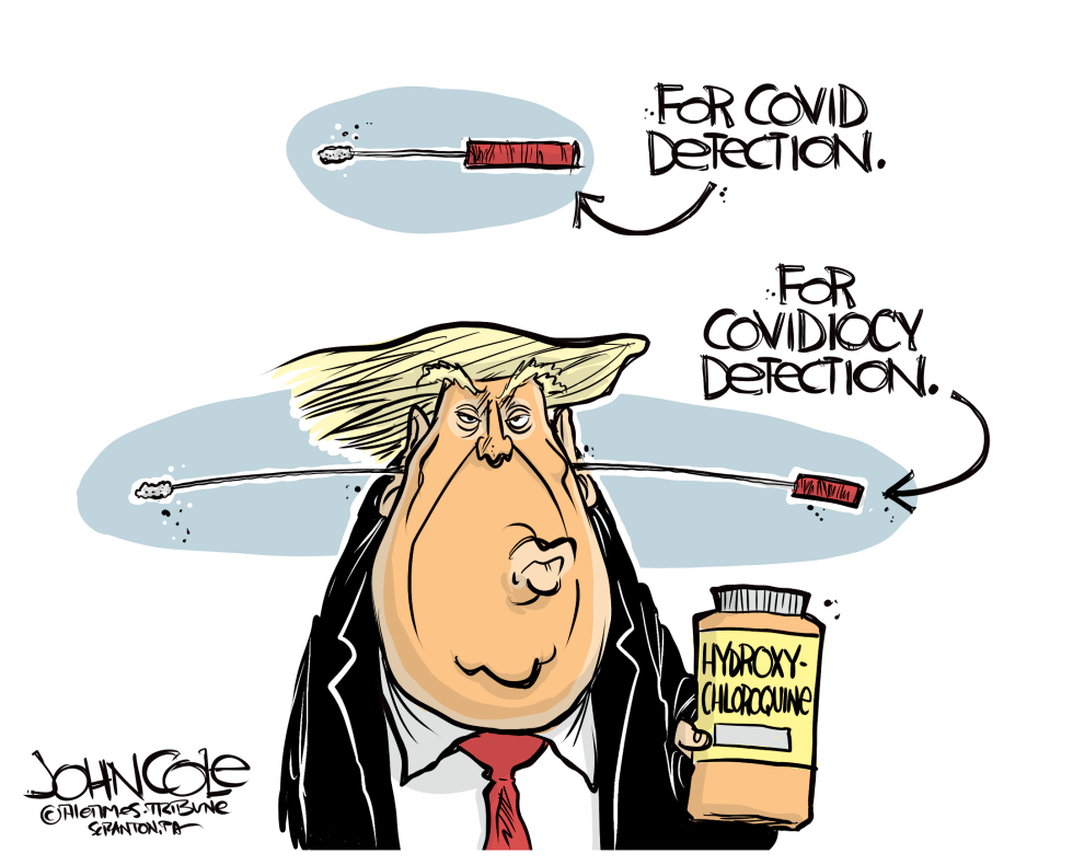 Covidiocy testing
