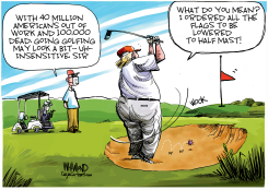 TRUMPS GOLFS WHILE AMERICA BURNS by Dave Whamond