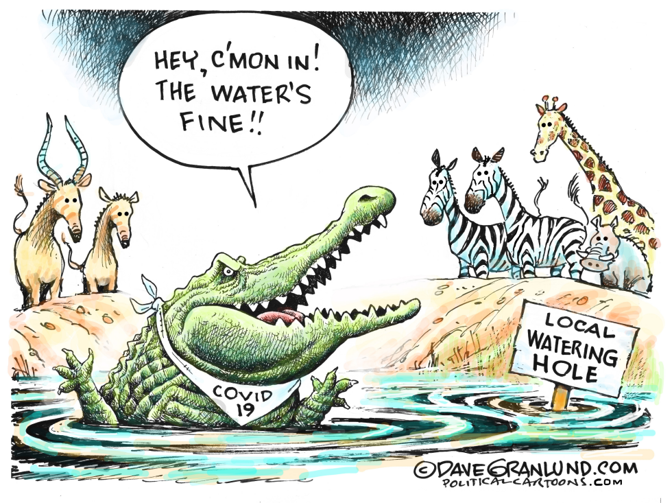 Watering Holes and Covid19