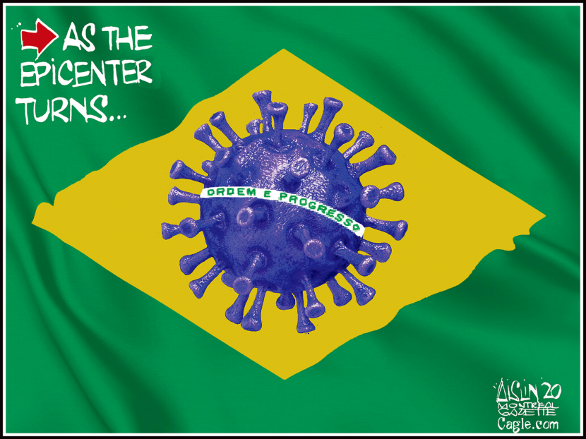 Brazil virus